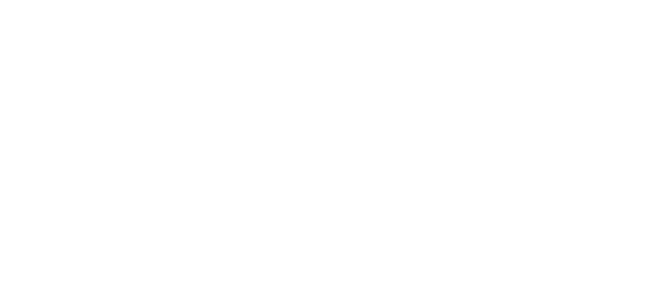 Cash Noir
